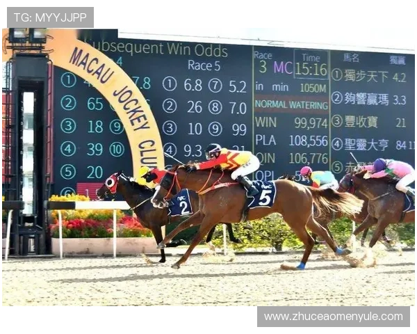 澳门赛马对当地经济的推动作用，分析赛事带来的经济与社会影响