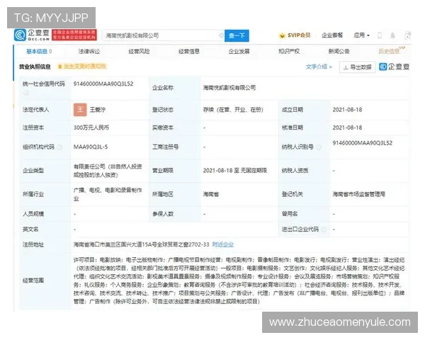 悦凯娱乐企查查平台的用户体验和操作流程优化建议总结