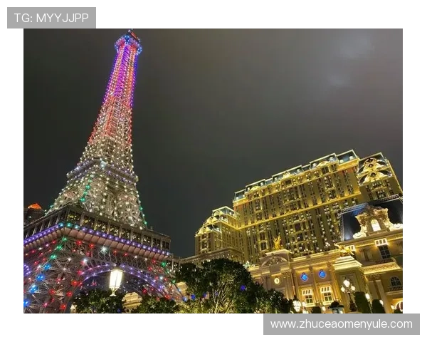 新澳门在线登录网络环境优化提升登录速度减少等待时间