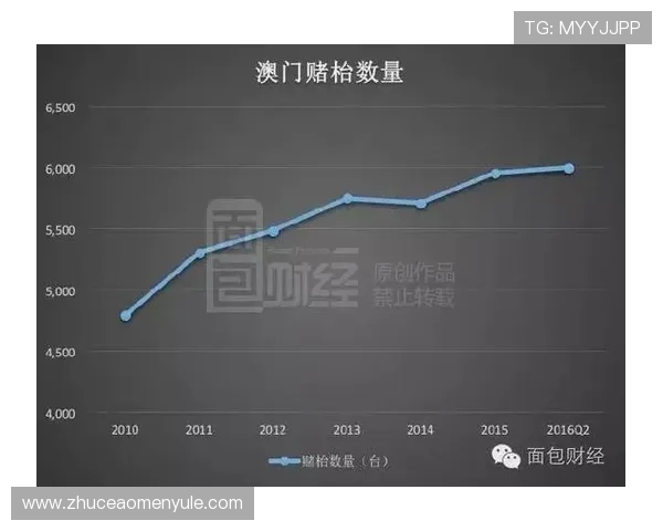 澳门赌场年龄分布：不同年龄层在澳门赌场中的消费行为分析